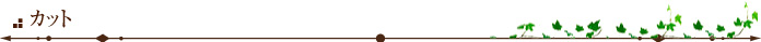 カット