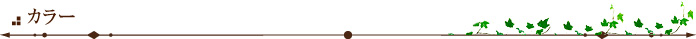 カラー