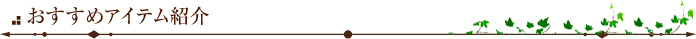 おすすめアイテム紹介