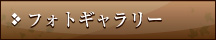 フォトギャラリー