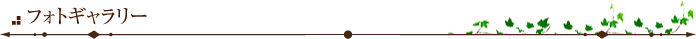 フォトギャラリー